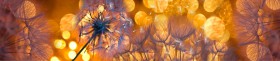 Кухонный фартук Мерцание Одуванчики золотистые 3 серебро в Новосибирске - katalogmebeli.com | фото
