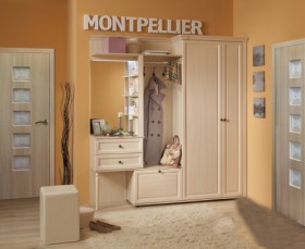 Шкаф для прихожей МЦН 2 Montpellier в Новосибирске - katalogmebeli.com | фото 2